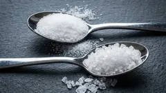 Wie Sie das richtige Salz zum Kochen auswählen, um den Geschmack Ihrer Gerichte optimal zur Geltung zu bringen